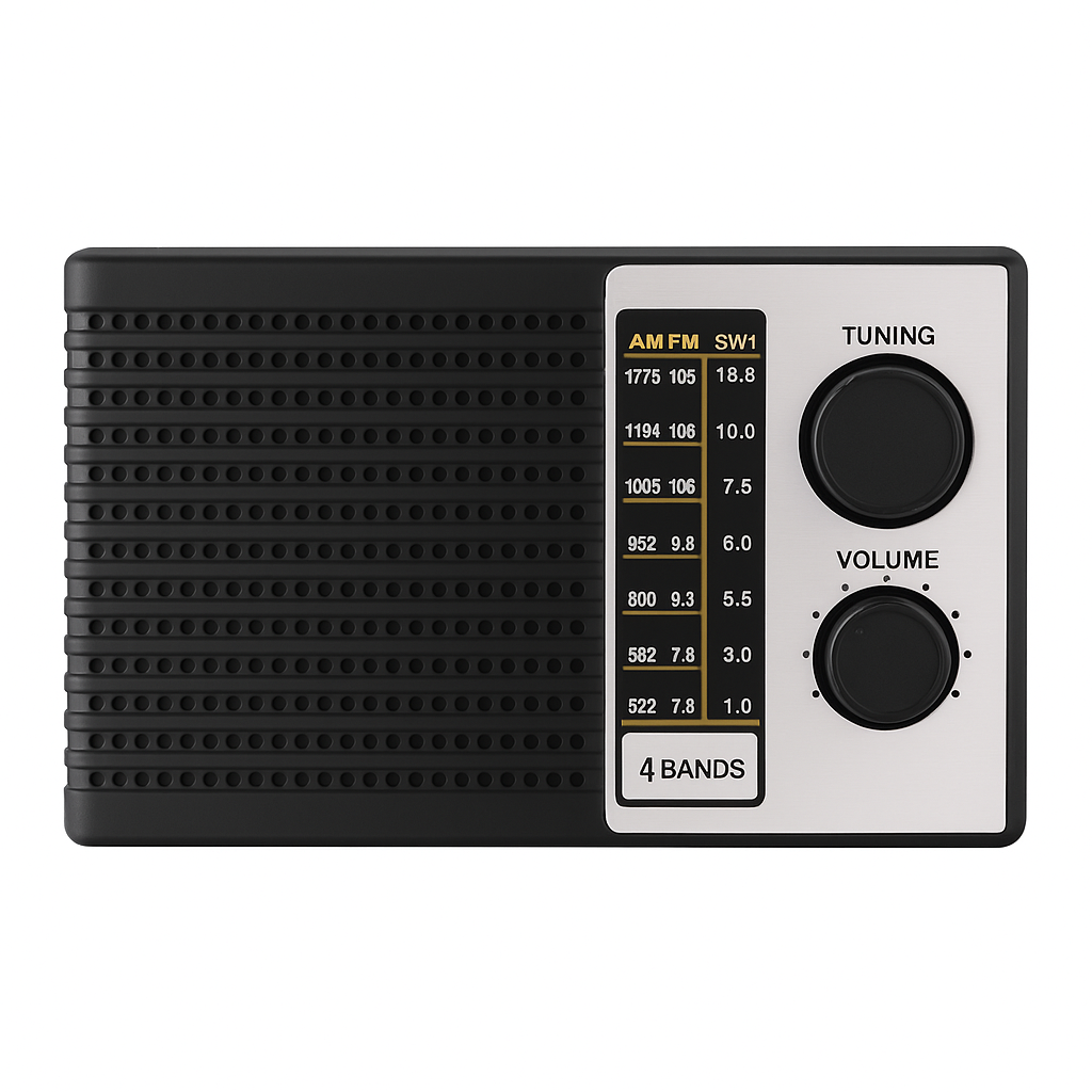 RADIO NS-F10R